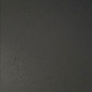 Meet your Posher, Timothy